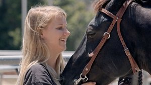 A Horse from Heaven (2018)