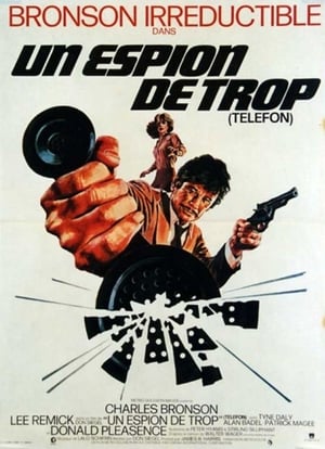 Poster Un espion de trop 1977