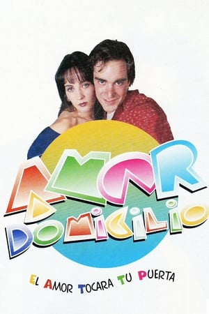 Poster Amor a domicilio 1995