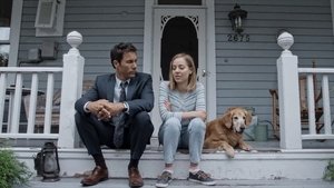 Travelers 1 episodio 11