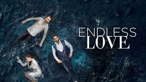 poster Endless Love