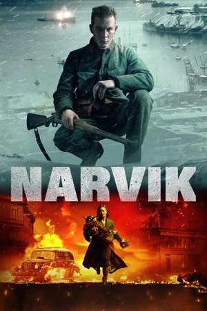 Poster Narvik 2022