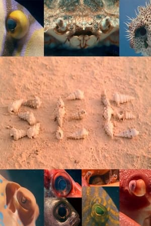 Poster di SEE