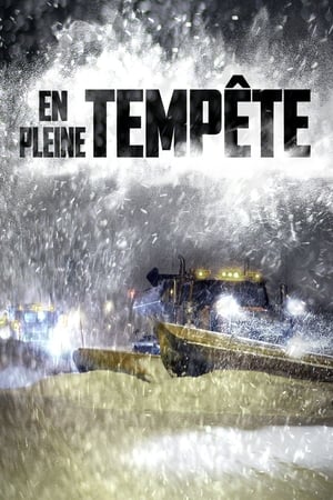 pelicula En pleine tempête (2020)