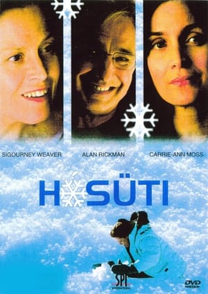 Poster Hósüti 2006