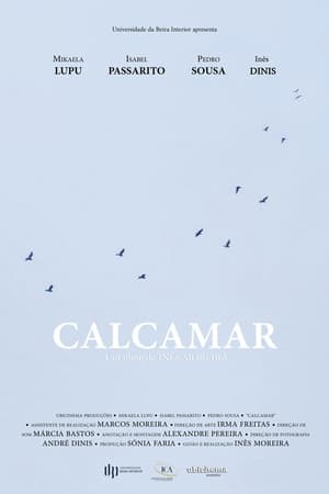 Poster Calcamar 2019