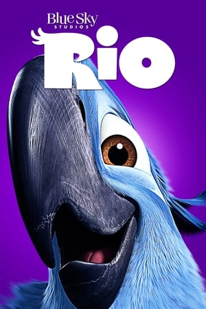 Poster di Rio