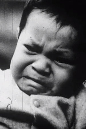 Le Témoin ou la timide espérance