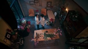 My Golden Blood Season 1 Episode 1