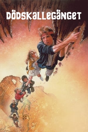 Poster The Goonies - dödskallegänget 1985