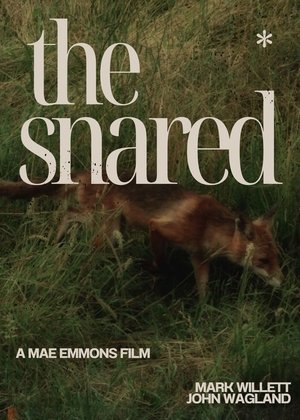 The Snared