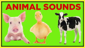 Farm Animal Sounds for Toddlers Toddler Learning Video Educational Speech Videos | StreamHub