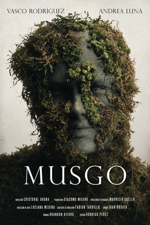 Musgo