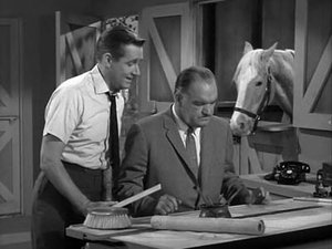 Mister Ed Horse Wash