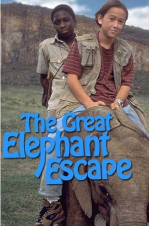 Poster Ellie - Un elefante da salvare 1995