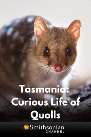 Poster Tasmania: Curious Life of Quolls 2020