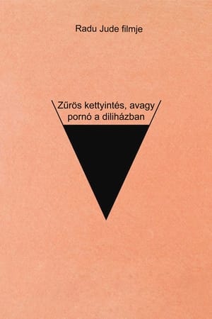 Zűrös kettyintés, avagy pornó a diliházban