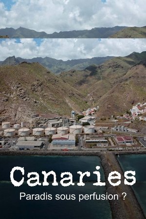 Image Canaries, paradis sous perfusion ?