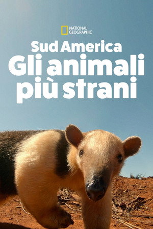 Sud America: Gli Animali Più Strani