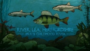 Mortimer & Whitehouse: Gone Fishing River Lea, Hertfordshire: Paul's Childhood River
