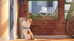 The Secret Life of Pets