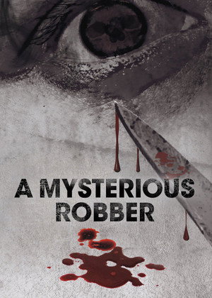A Mysterious Robber 4