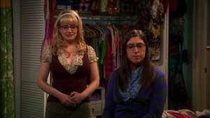 The Big Bang Theory 5 x Episodio 11