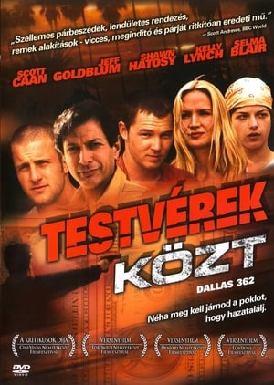 Testvérek közt (2005)