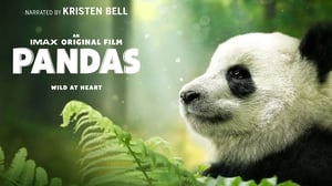 Graphic background for PANDAS – IMAX ADVENTURE