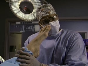 Scrubs – Die Anfänger: 2×2