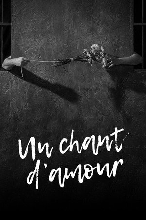Song of Love 9