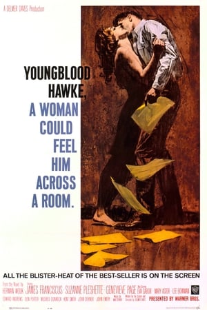 Youngblood Hawke poster