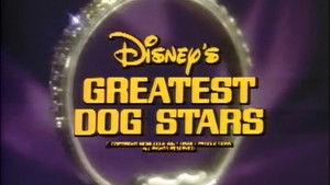 Disney's Greatest Dog Stars