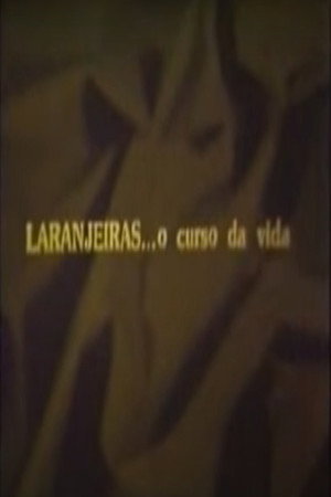 Laranjeiras... O Curso da Vida 2