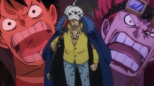 One Piece: 1×978