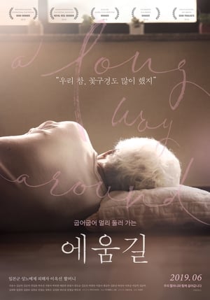 Poster A Long Way Around (2019)