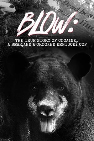 watch-Blow: The True Story of Cocaine, a Bear, and a Crooked Kentucky Cop