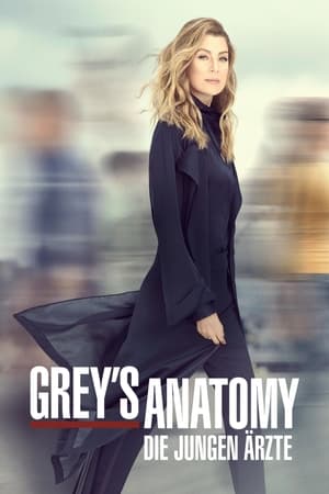 Grey's Anatomy 2024