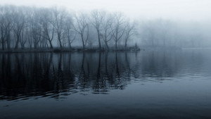 Chasing bloodlines and ghosts