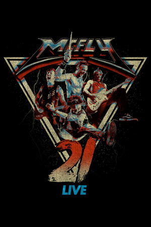 McFly: The 21st Birthday Party 6