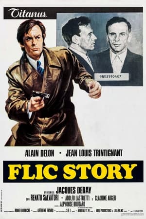 Flic Story