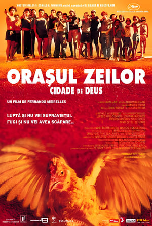 Cidade de Deus (2002)