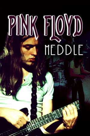 Rock Milestones: Pink Floyd: Meddle