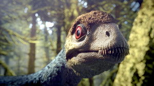 Great Moments in Evolution Secrets of Survival