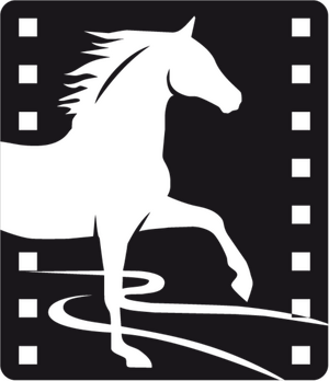 Little Horse Crossing the River Little Horse Crossing the River
