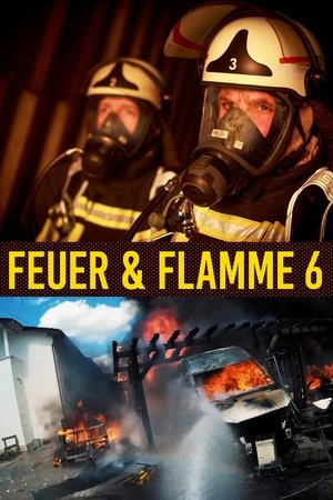 Saison 6