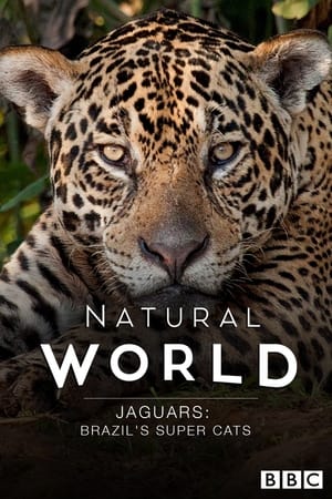 Jaguars: Brazil's Super Cats 2016