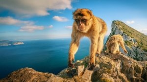 Gibraltar: Escape to the Sun