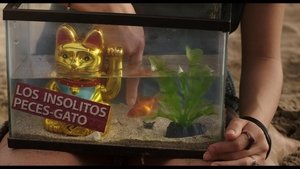 Los insólitos peces gato