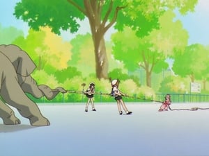 Cardcaptor Sakura Sakura and the Elephant's Strength Contest